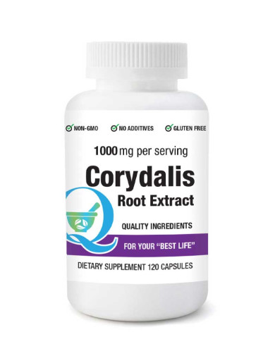 Corydalis